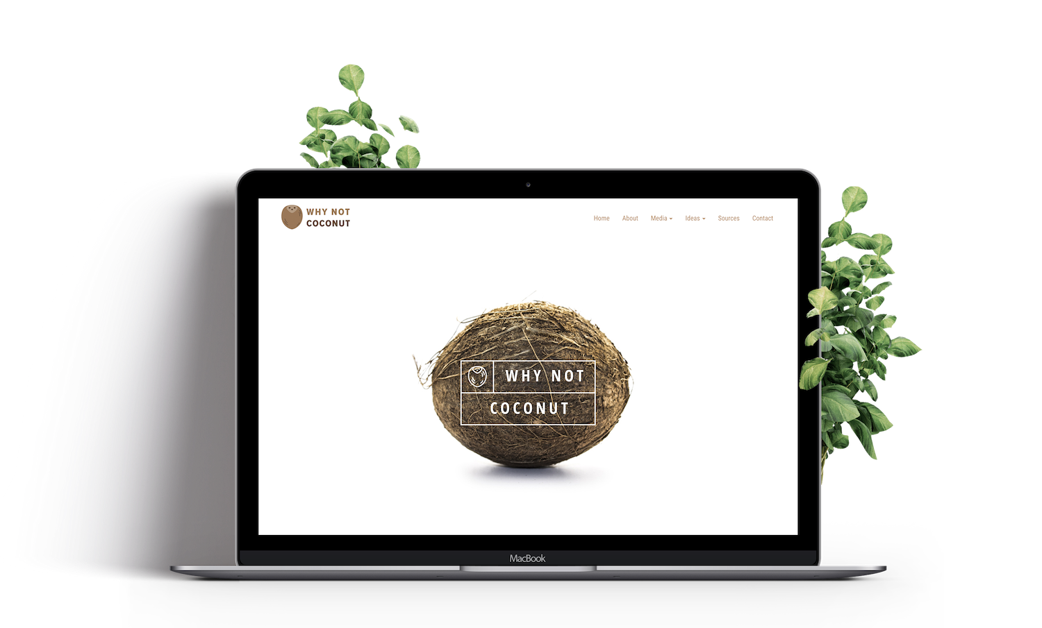 Grace O Foundation Branding